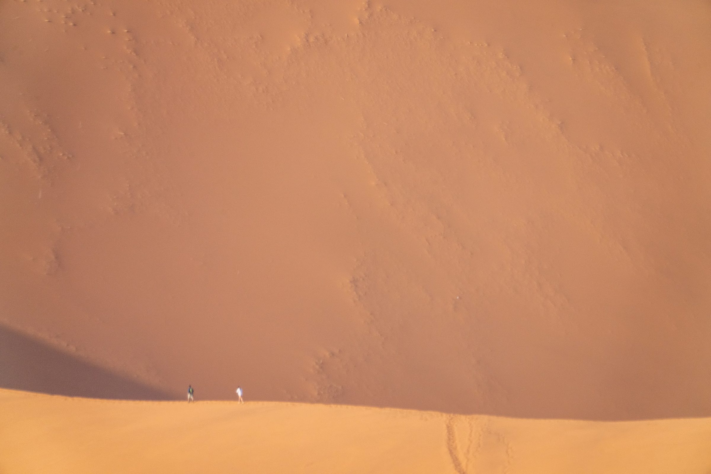 Two tiny figures walking the ridge of a towering red Namib dune